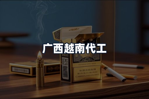 广西越南代工